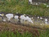 image of grave number 788606